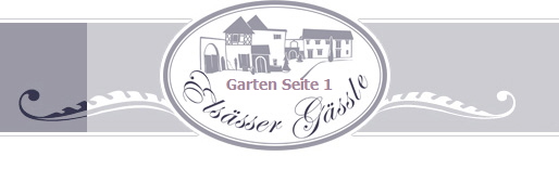 Garten Seite 1