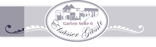 Garten Seite 6